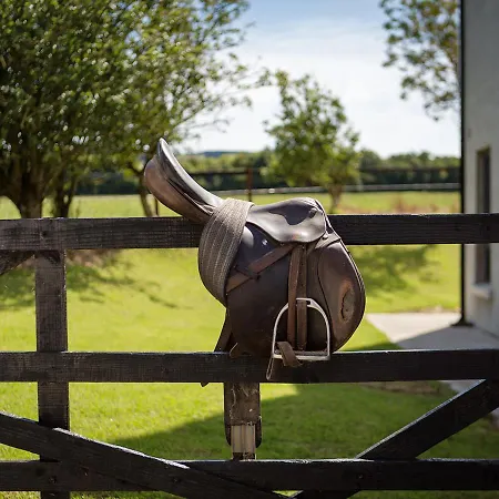 Bed & Breakfast Coolcormack Stud