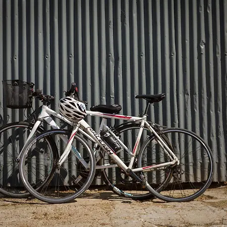 לינה וארוחת בוקר Coolcormack Stud דנגרבן