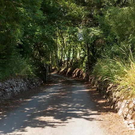 Frühstückspension Coolcormack Stud 3*