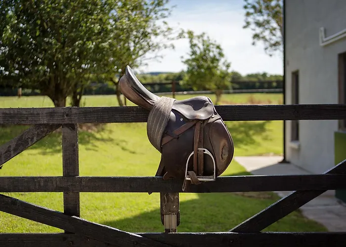 Bed & Breakfast Coolcormack Stud