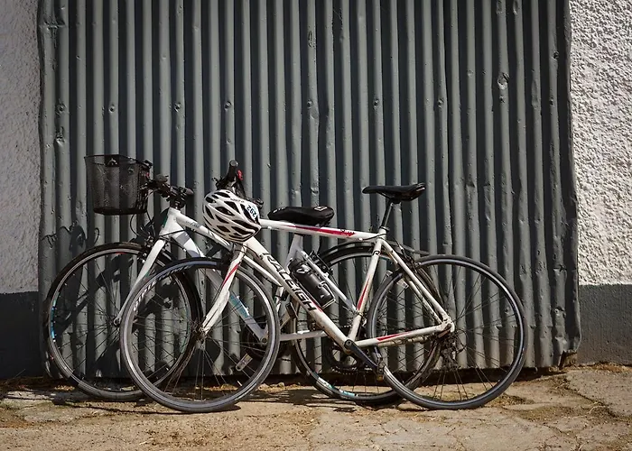 Bed & Breakfast Coolcormack Stud Dungarvan (Waterford)