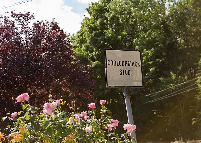 Coolcormack Stud 3* Dungarvan (Waterford)