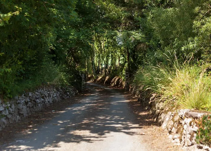 Bed & Breakfast Coolcormack Stud 3*